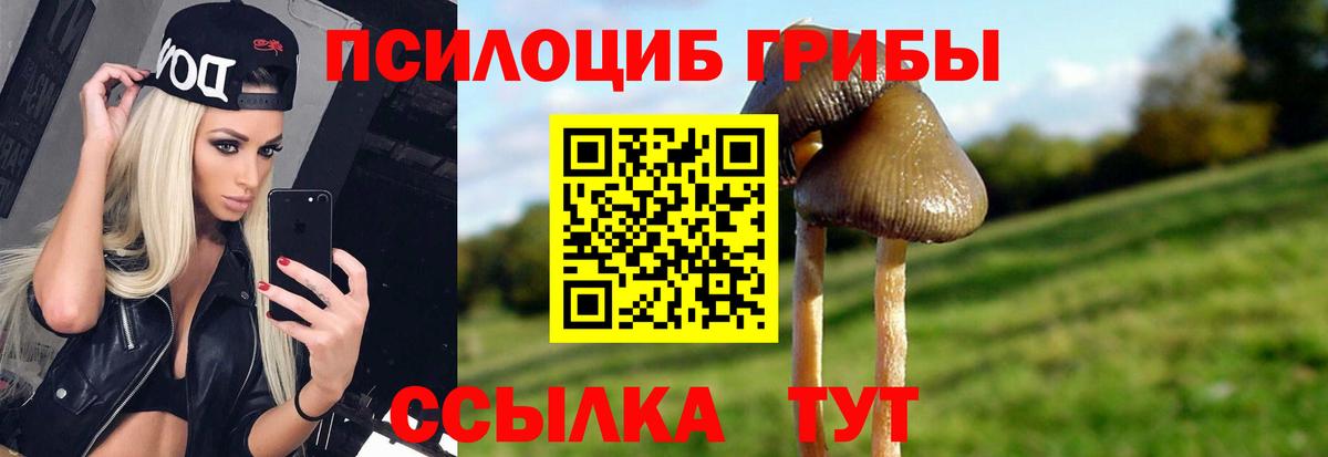 Галлюциногенные грибы прущие грибы  Вход с VPN  Усолье-Сибирское 